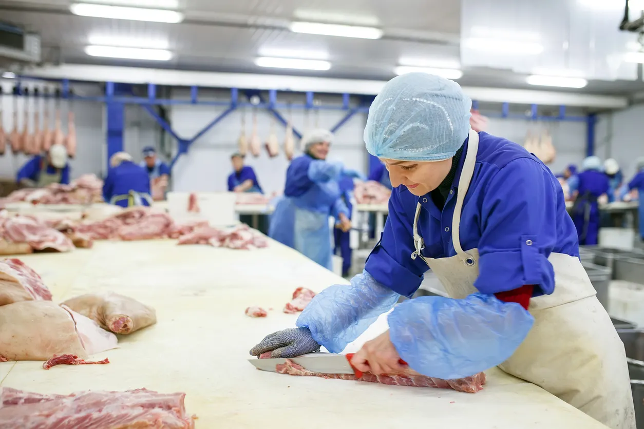 Imagem de uma trabalhadora em um frigorífico, cortando carne em uma bancada, com outros funcionários ao fundo em uma linha de produção.