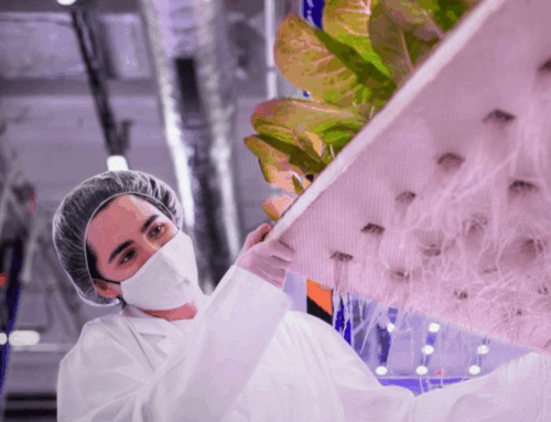 Boas Práticas de Fabricação (BPF) e a iluminação na indústria alimentícia