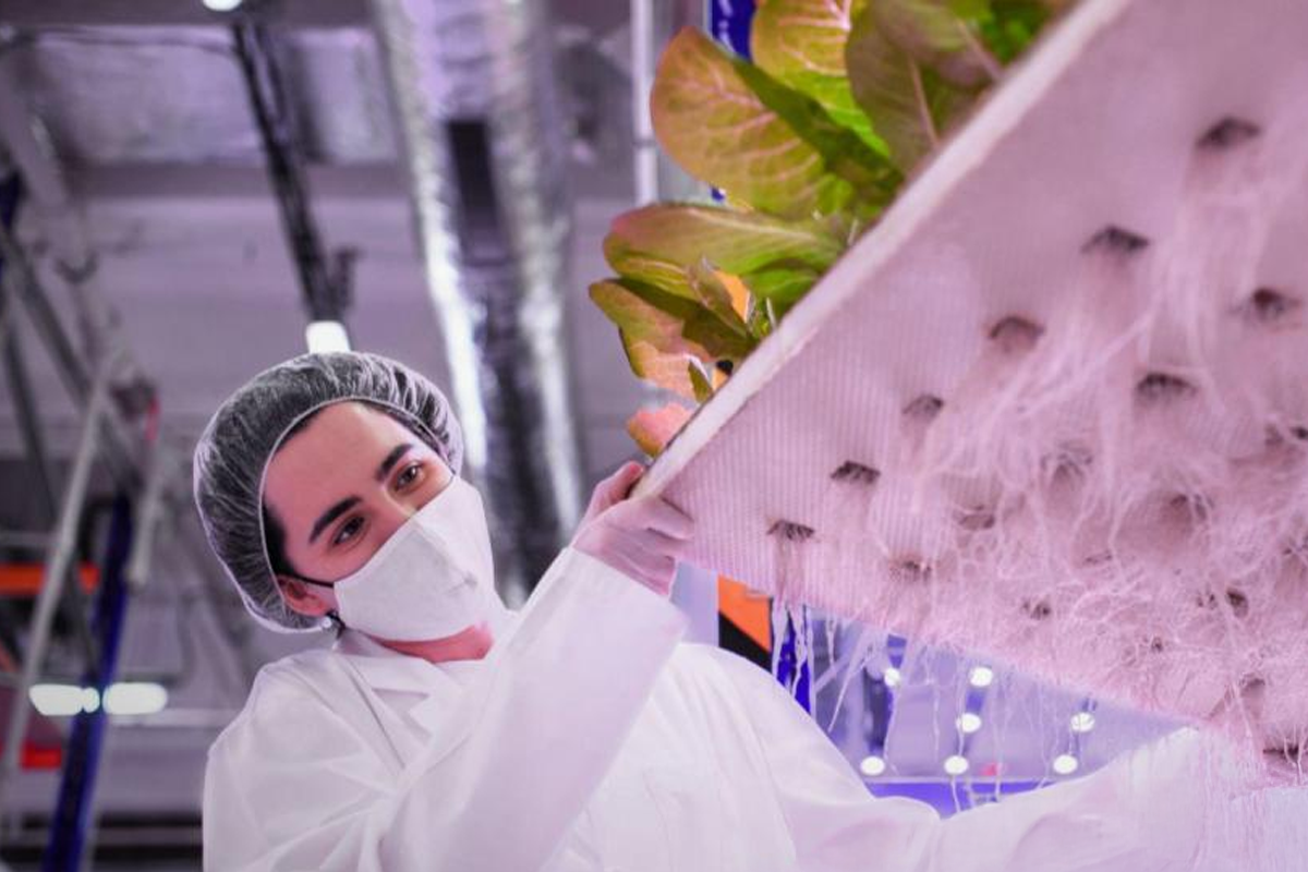 Mulher profissional em fábrica no processo de Boas Práticas de Fabricação.