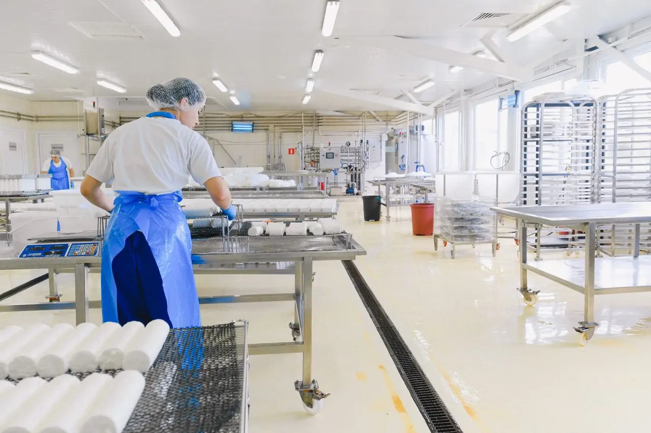 Imagem de uma trabalhadora em uma indústria alimentícia, com outros funcionários ao fundo atuando em uma linha de produção.
